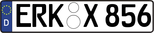 ERK-X856