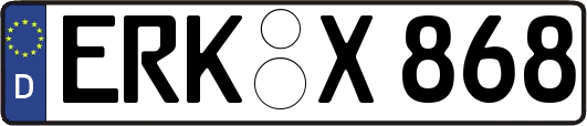 ERK-X868