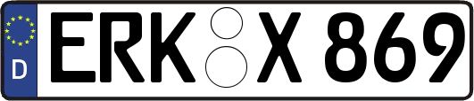 ERK-X869