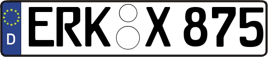 ERK-X875