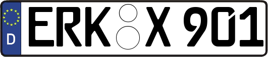 ERK-X901