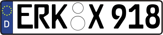 ERK-X918