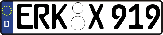 ERK-X919