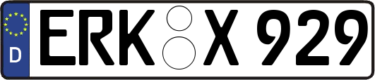 ERK-X929