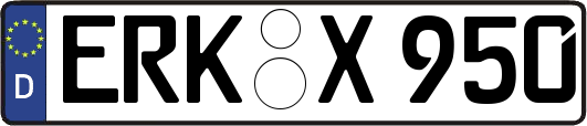 ERK-X950