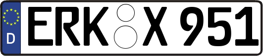 ERK-X951