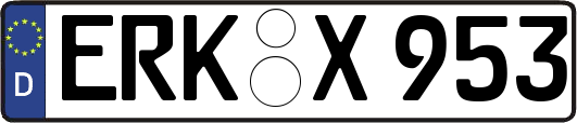 ERK-X953