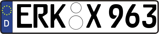 ERK-X963