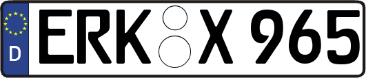 ERK-X965