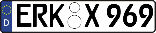ERK-X969