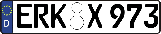 ERK-X973
