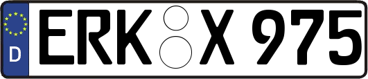 ERK-X975