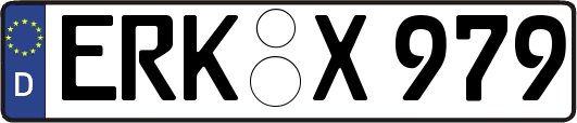 ERK-X979