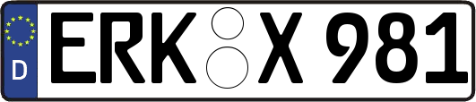 ERK-X981