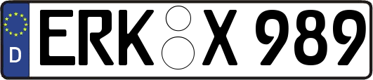 ERK-X989