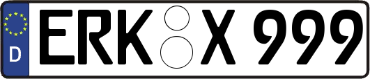 ERK-X999
