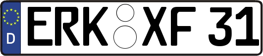 ERK-XF31