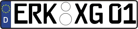 ERK-XG01
