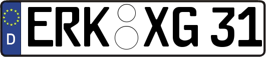 ERK-XG31