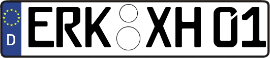 ERK-XH01