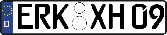 ERK-XH09