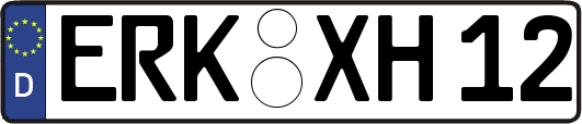 ERK-XH12