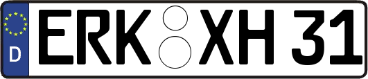 ERK-XH31