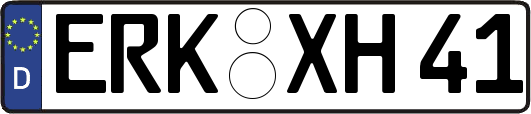 ERK-XH41