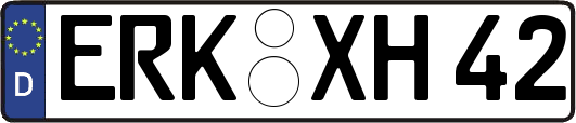 ERK-XH42