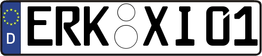 ERK-XI01