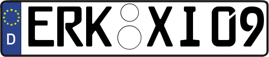 ERK-XI09