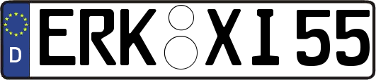 ERK-XI55