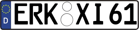 ERK-XI61