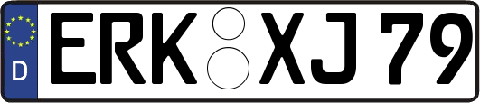 ERK-XJ79