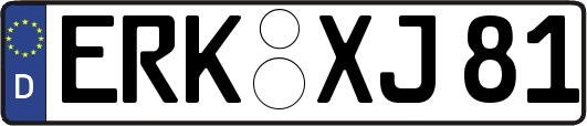 ERK-XJ81