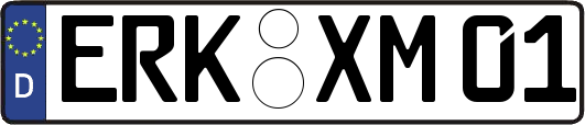 ERK-XM01