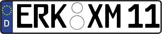 ERK-XM11