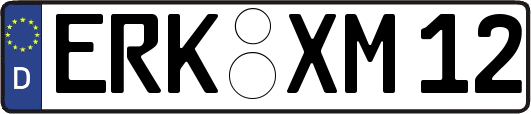ERK-XM12