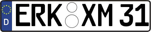 ERK-XM31