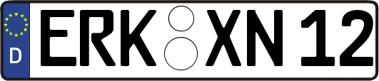 ERK-XN12