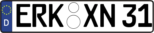 ERK-XN31