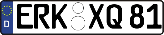 ERK-XQ81