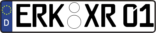 ERK-XR01