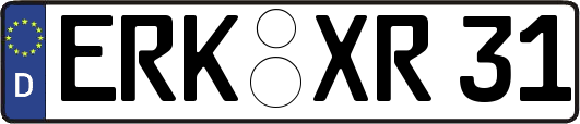 ERK-XR31