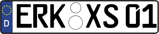 ERK-XS01