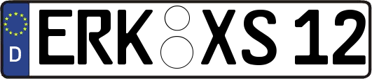 ERK-XS12