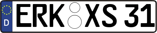 ERK-XS31