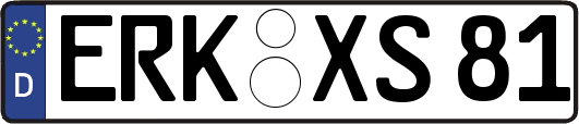 ERK-XS81