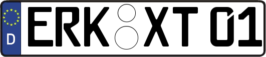 ERK-XT01