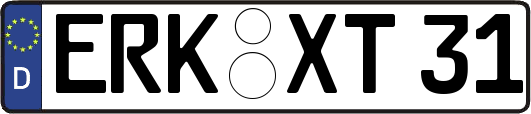 ERK-XT31